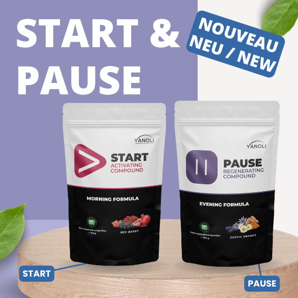 START & PAUSE new Formula